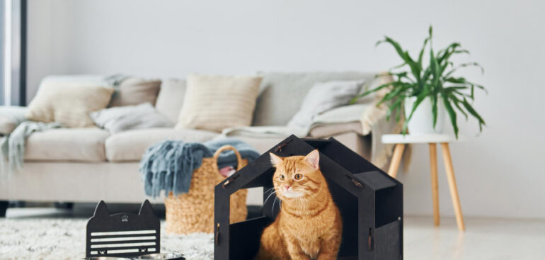 🐾 Homes Fur All: Helping Pets Find Their Forever Homes, One Real Estate Deal at a Time 🏡 56747