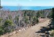 Vacant Water View and Waterfront Land on Grand Manan Island NB Lot15OhioPond2