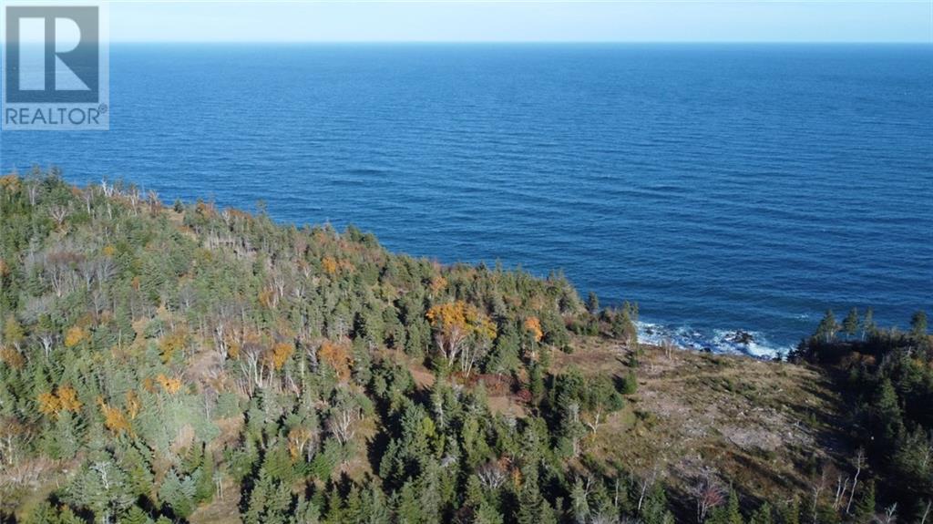 Lot 10-06 Golden Mile Drive, Grand Manan, New Brunswick  E5G 1N1 - Photo 10 - SJ150771