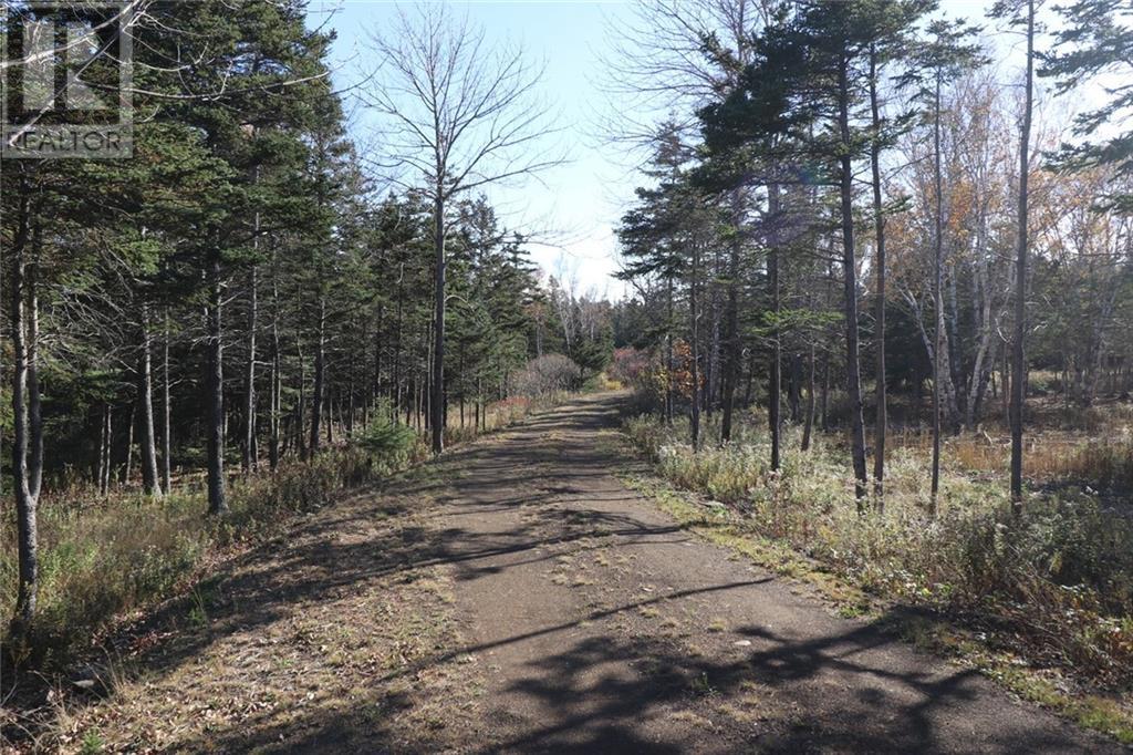 Lot 10-06 Golden Mile Drive, Grand Manan, New Brunswick  E5G 1N1 - Photo 18 - SJ150771