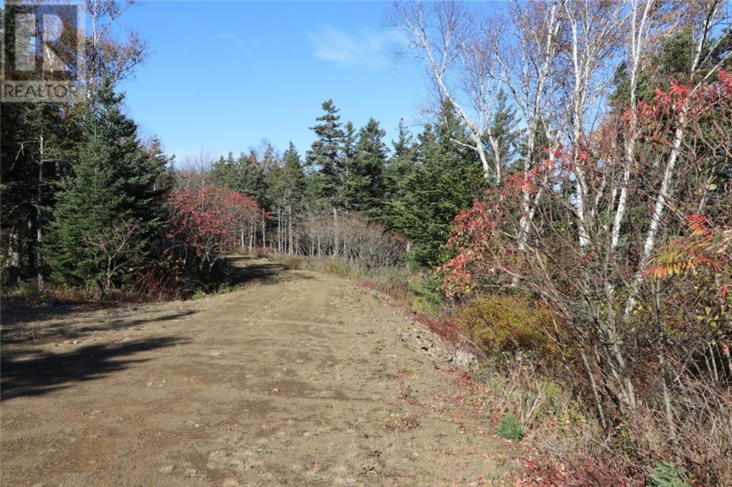 Lot 10-06 Golden Mile Drive, Grand Manan, New Brunswick  E5G 1N1 - Photo 24 - SJ150771