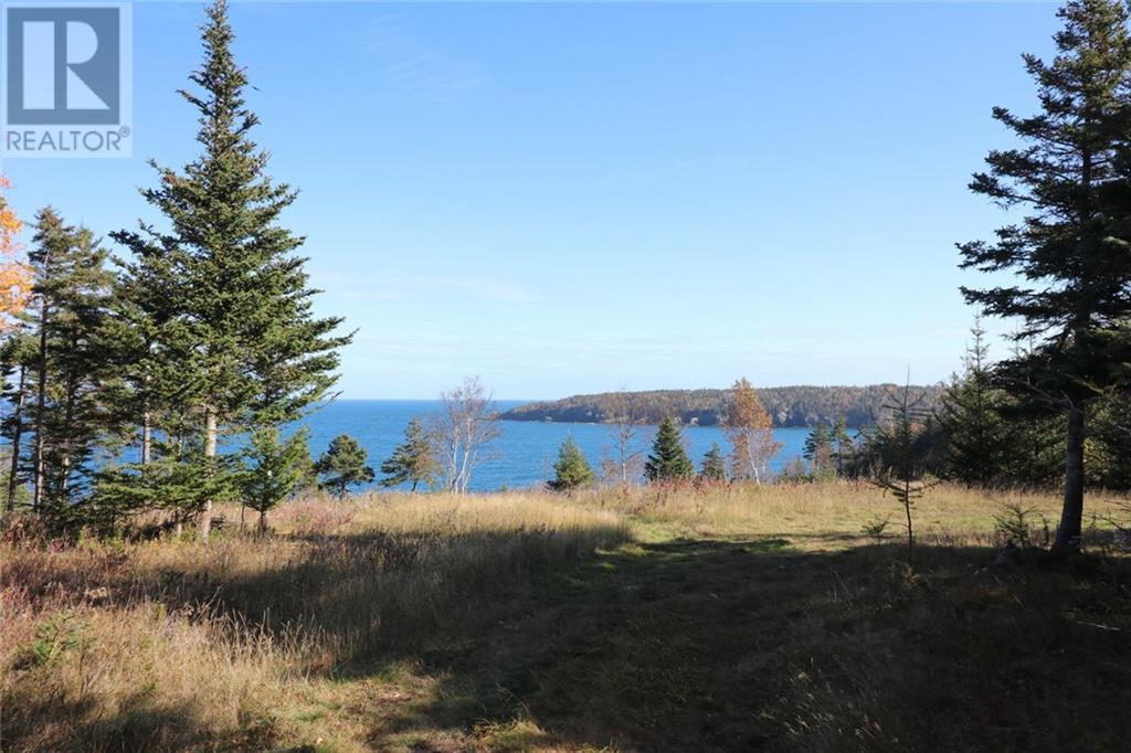 Lot 10-06 Golden Mile Drive, Grand Manan, New Brunswick  E5G 1N1 - Photo 26 - SJ150771