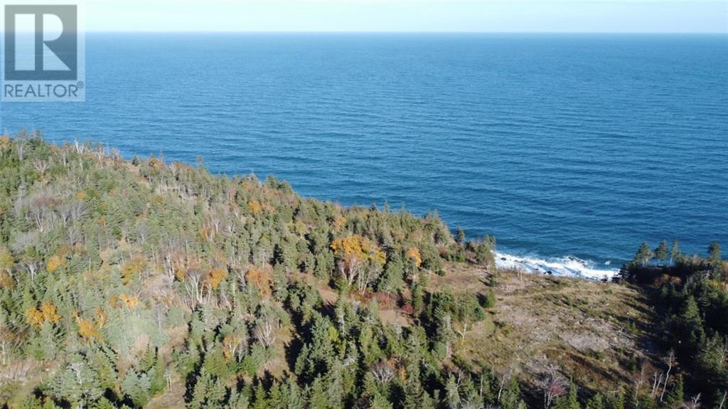 Lot 10-06 Golden Mile Drive, Grand Manan, New Brunswick  E5G 1N1 - Photo 9 - SJ150771