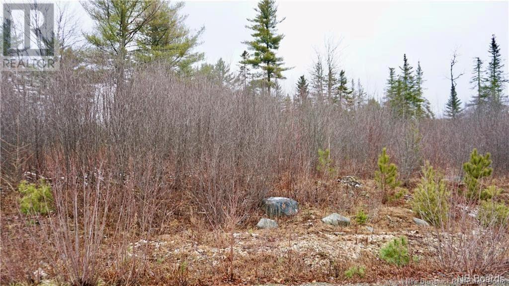 Lot # 7 Route 740, Heathland, New Brunswick  E3L 5C1 - Photo 9 - NB069265