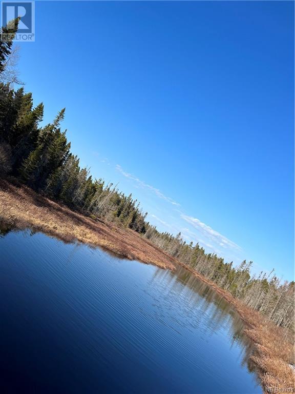 Goat Brook, Lynnfield, New Brunswick  E5A 1V6 - Photo 12 - NB085996