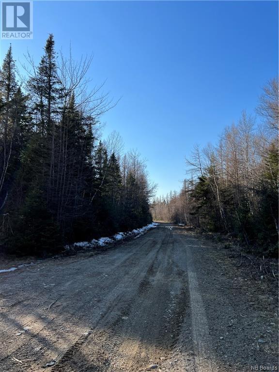 Goat Brook, Lynnfield, New Brunswick  E5A 1V6 - Photo 14 - NB085996