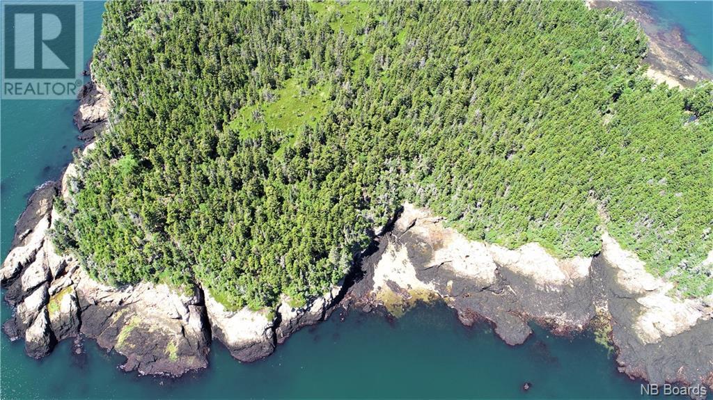 - White Head Island, Back Bay, New Brunswick  E5H 1C4 - Photo 10 - NB088963