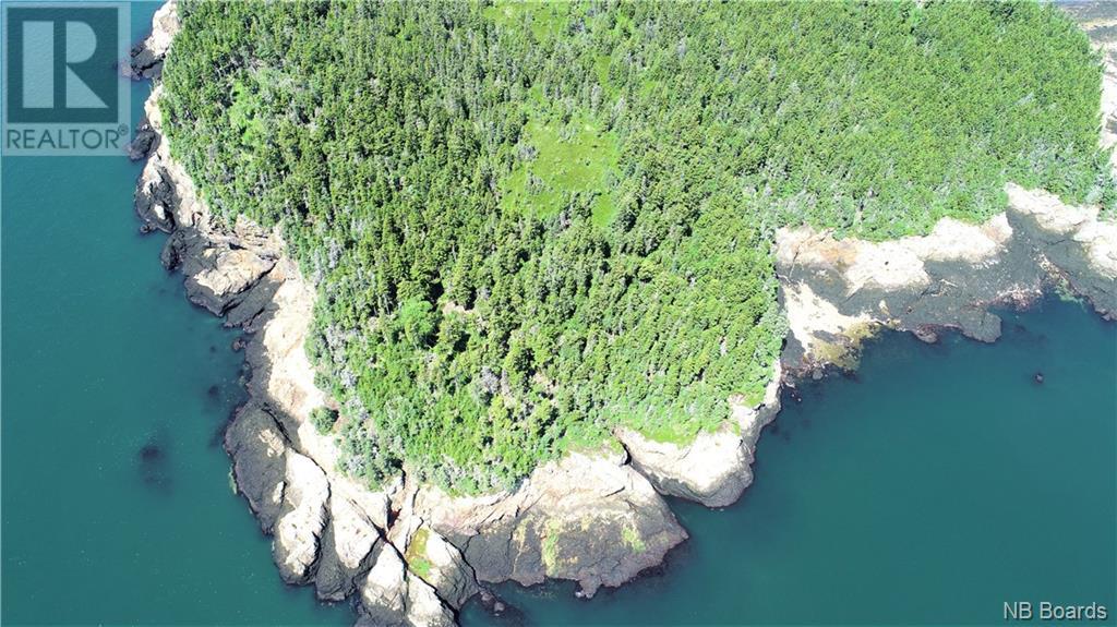 - White Head Island, Back Bay, New Brunswick  E5H 1C4 - Photo 11 - NB088963