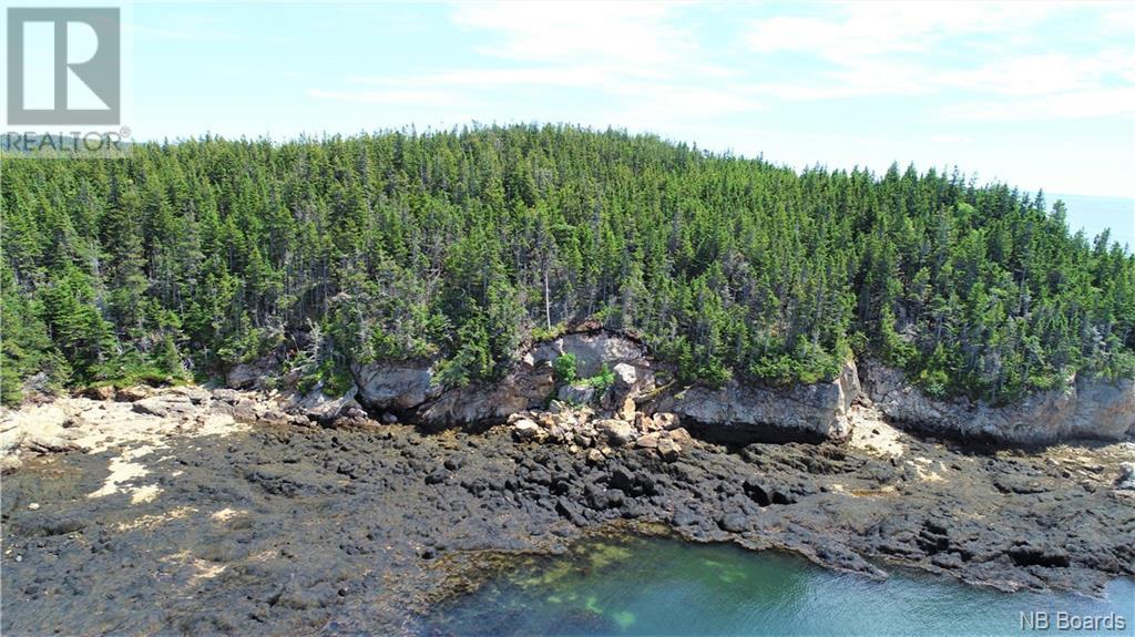 - White Head Island, Back Bay, New Brunswick  E5H 1C4 - Photo 17 - NB088963