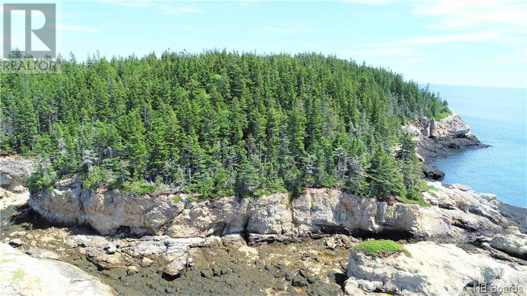 - White Head Island, Back Bay, New Brunswick  E5H 1C4 - Photo 18 - NB088963