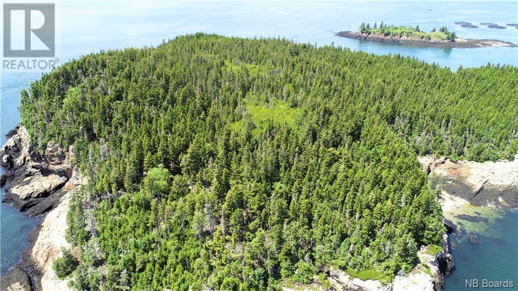 - White Head Island, Back Bay, New Brunswick  E5H 1C4 - Photo 21 - NB088963