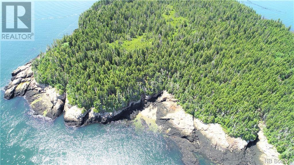 - White Head Island, Back Bay, New Brunswick  E5H 1C4 - Photo 22 - NB088963