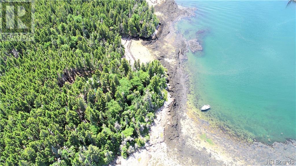 - White Head Island, Back Bay, New Brunswick  E5H 1C4 - Photo 23 - NB088963