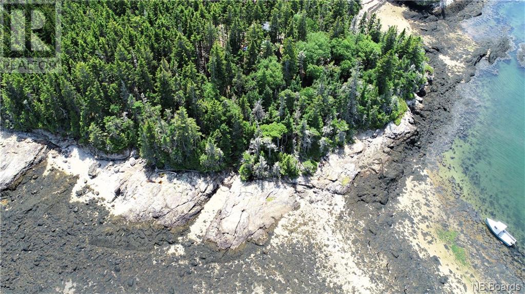 - White Head Island, Back Bay, New Brunswick  E5H 1C4 - Photo 25 - NB088963