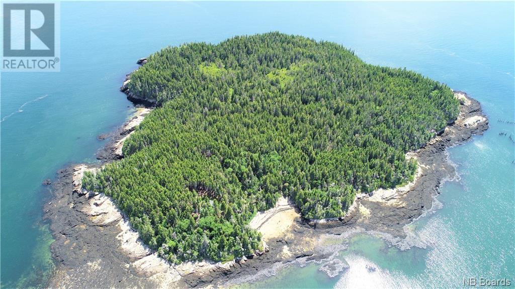 - White Head Island, Back Bay, New Brunswick  E5H 1C4 - Photo 4 - NB088963