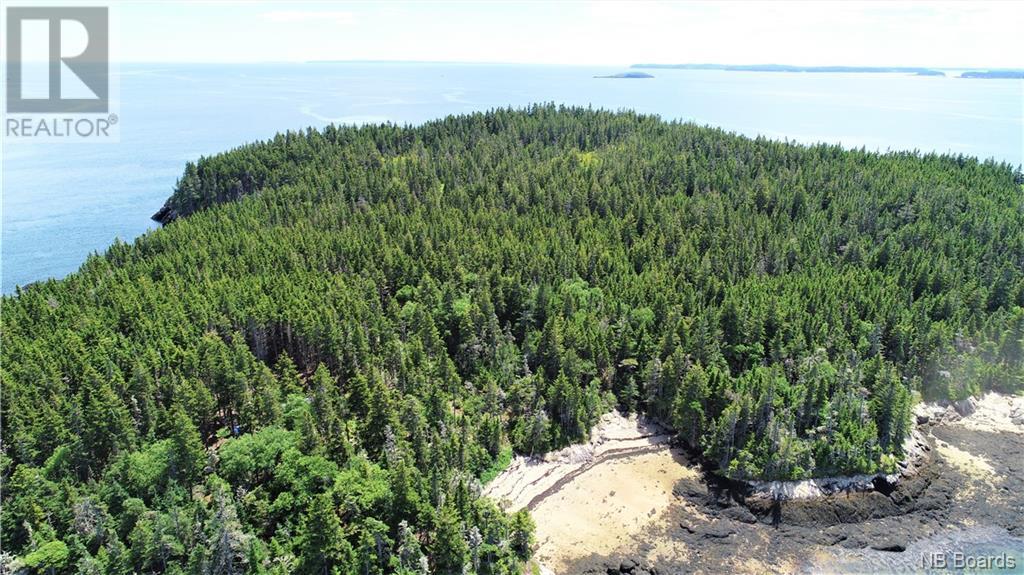 - White Head Island, Back Bay, New Brunswick  E5H 1C4 - Photo 6 - NB088963