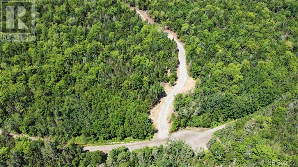 Lot 10 Little Chamcook Lake, Bayside, New Brunswick  E5B 2X7 - Photo 16 - NB090285