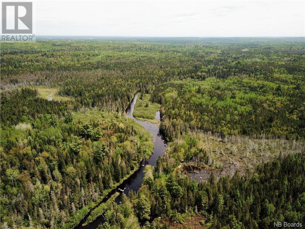 Lot A Canoose Stream Road, Canoose, New Brunswick  E5A 1K1 - Photo 10 - NB090908