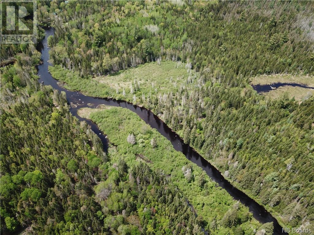 Lot A Canoose Stream Road, Canoose, New Brunswick  E5A 1K1 - Photo 27 - NB090908