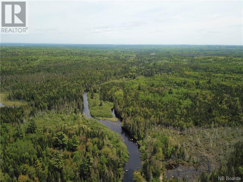 Lot A Canoose Stream Road, Canoose, New Brunswick  E5A 1K1 - Photo 8 - NB090908