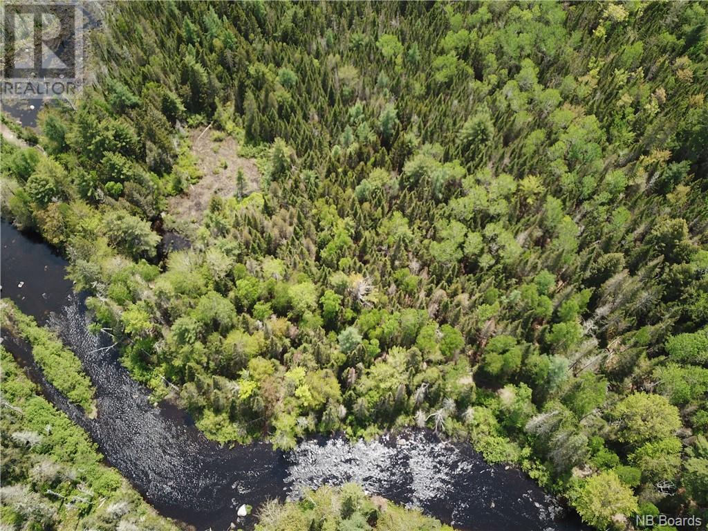 Lot B Canoose Stream Road, Canoose, New Brunswick  E5A 1K1 - Photo 14 - NB090910