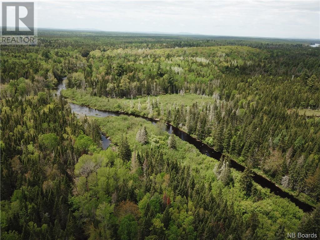 Lot B Canoose Stream Road, Canoose, New Brunswick  E5A 1K1 - Photo 18 - NB090910