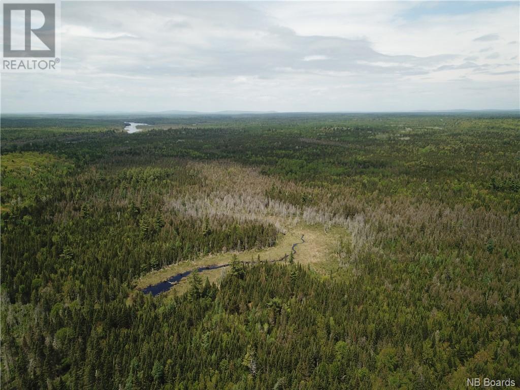 Lot B Canoose Stream Road, Canoose, New Brunswick  E5A 1K1 - Photo 23 - NB090910