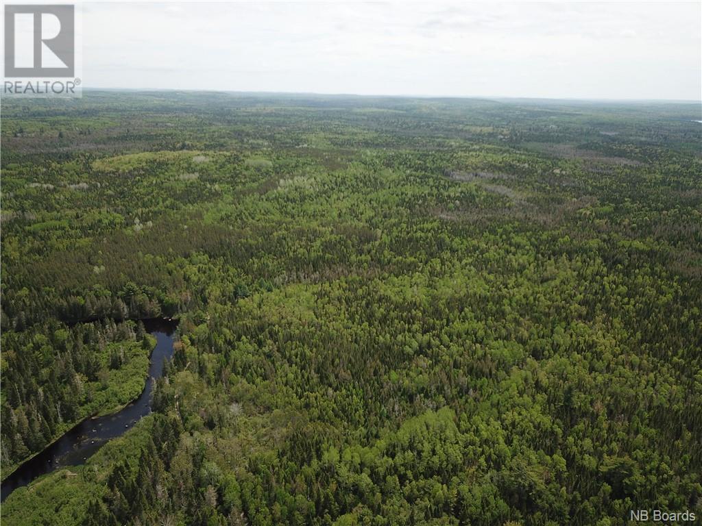 Lot B Canoose Stream Road, Canoose, New Brunswick  E5A 1K1 - Photo 26 - NB090910