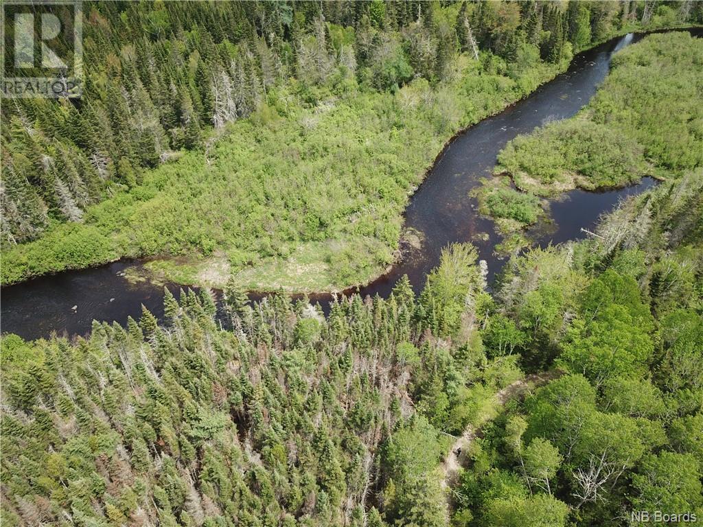 Lot B Canoose Stream Road, Canoose, New Brunswick  E5A 1K1 - Photo 31 - NB090910