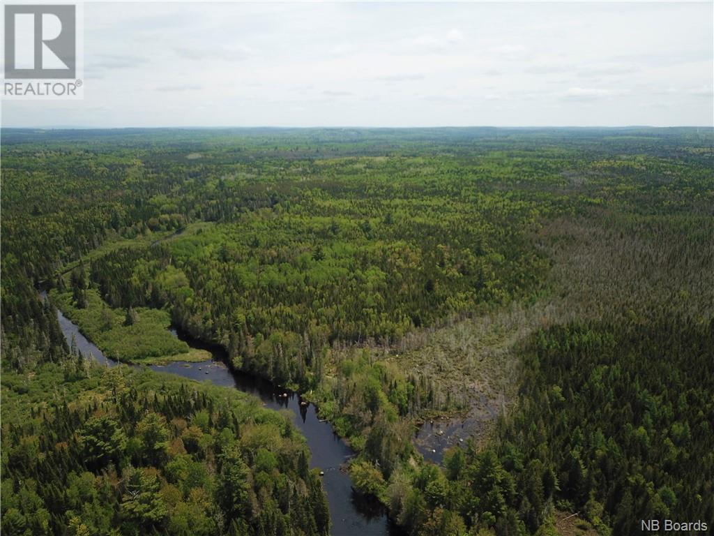 Lot B Canoose Stream Road, Canoose, New Brunswick  E5A 1K1 - Photo 8 - NB090910