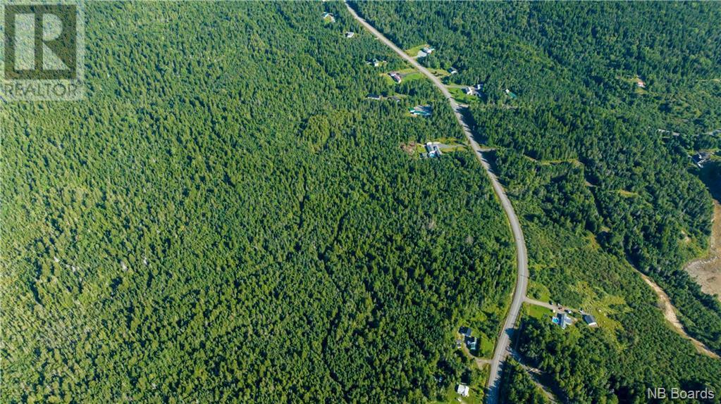 Lot 3 Route 172, Letang, New Brunswick  E5C 1W4 - Photo 21 - NB090947