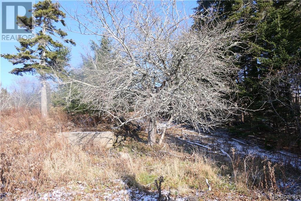 1480 Route 790, Dipper Harbour, New Brunswick  E5J 1W3 - Photo 4 - NB094256