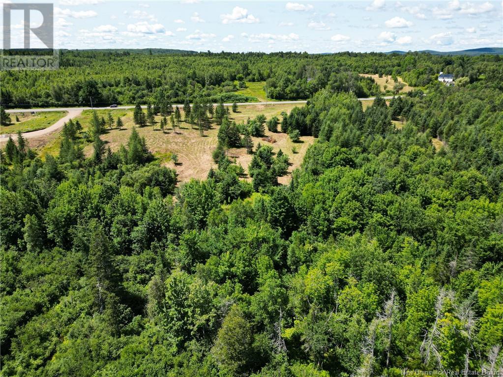 Lot 22-2 Route 3, Harvey, New Brunswick  E6K 1X8 - Photo 18 - NB095112