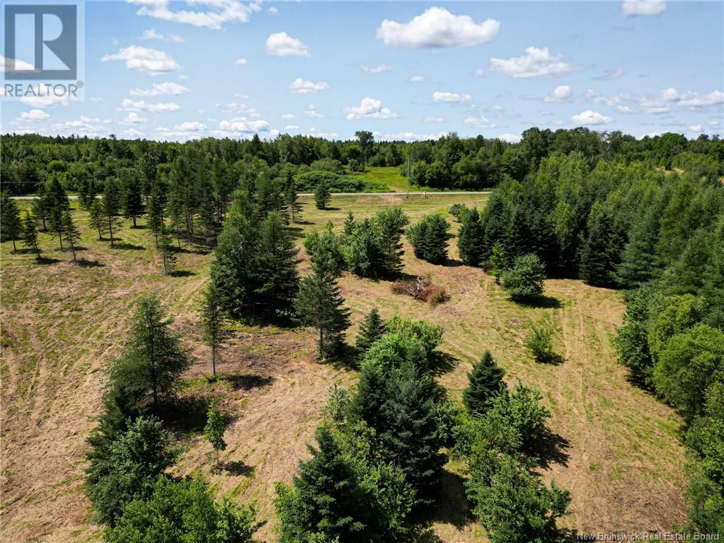 Lot 22-2 Route 3, Harvey, New Brunswick  E6K 1X8 - Photo 21 - NB095112