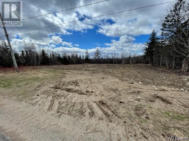 Lot 1-01 Route 645, Harvey, New Brunswick  E6K 3E1 - Photo 3 - NB095344