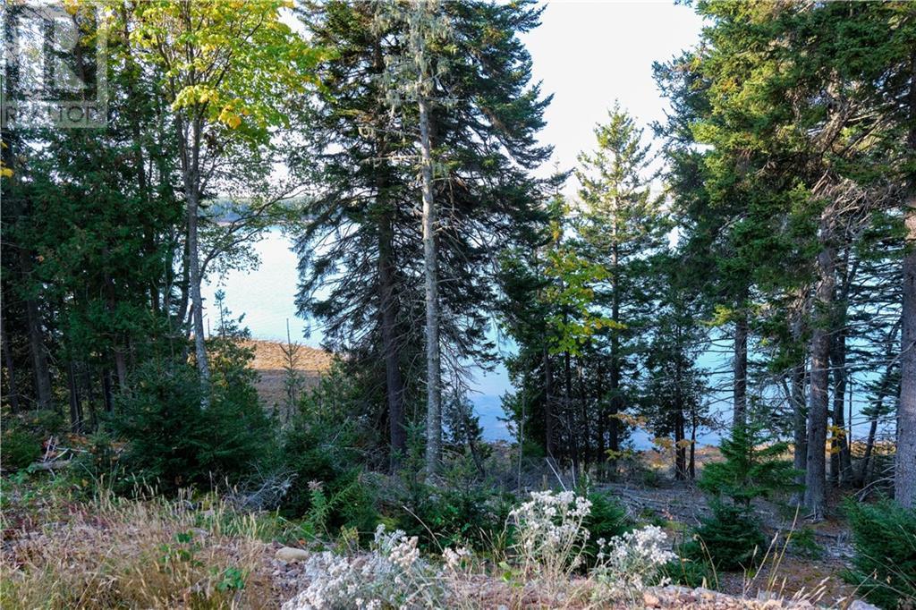 Lot 23 Osprey Dr, Chamcook, New Brunswick  E5B 0E9 - Photo 2 - M157570