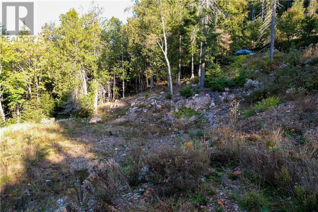 Lot 23 Osprey Drive, Chamcook, New Brunswick  E5B 0E9 - Photo 3 - M157570