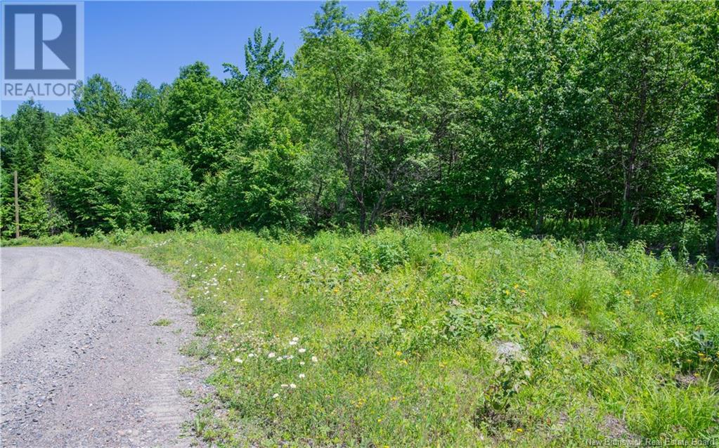 21-26 Misty Mountain Road, Johnson Settlement, New Brunswick  E5A 3B6 - Photo 2 - NB096794