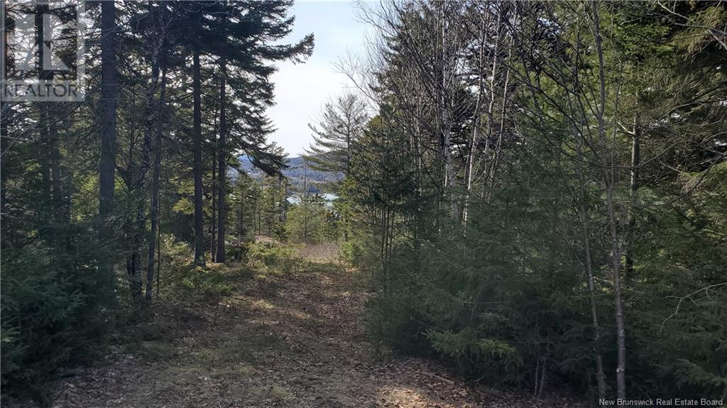 Lot 13 Eagles Passage, Chamcook, New Brunswick  E5B 0A8 - Photo 3 - NB097191