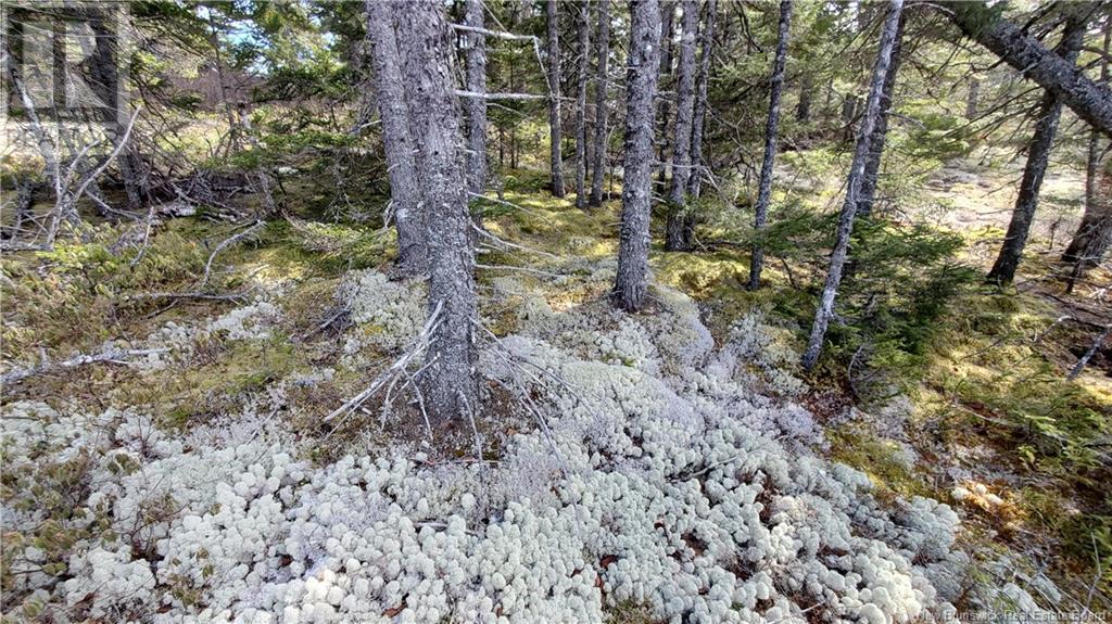 Lot 13 Eagles Passage, Chamcook, New Brunswick  E5B 0A8 - Photo 7 - NB097191