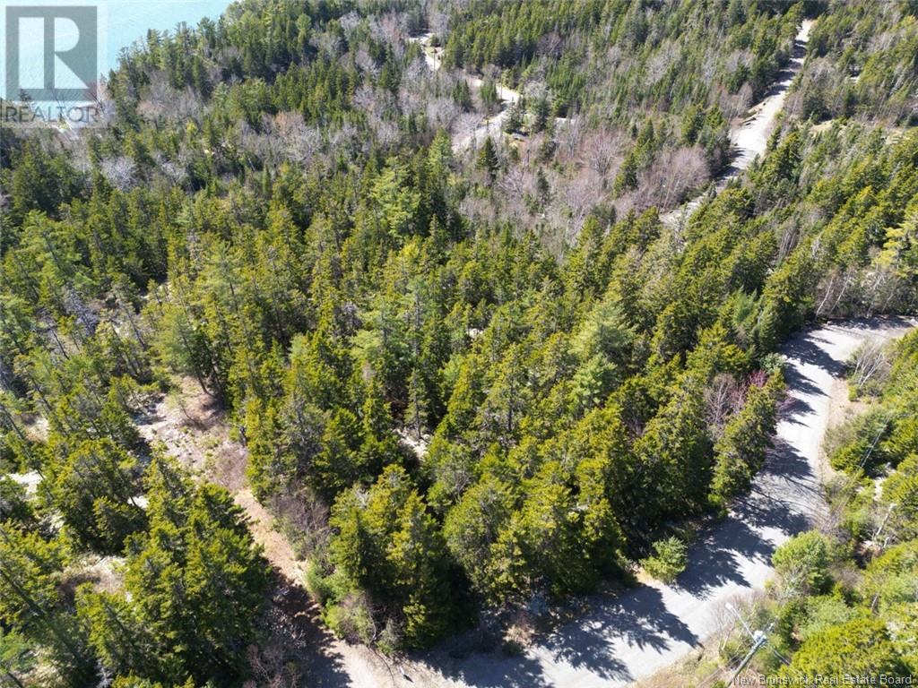 Lot 28 Eagles Passage, Chamcook, New Brunswick  E5B 0A7 - Photo 3 - NB098410