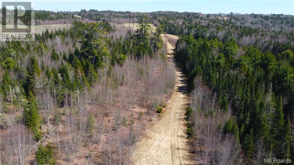 17 Libby Lane, Waweig, New Brunswick  E3L 4L4 - Photo 14 - NB098323