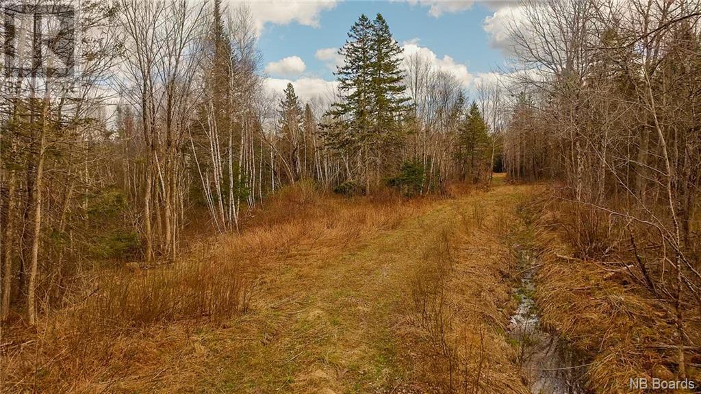 000 Scotch Ridge Road, Scotch Ridge, New Brunswick  E3L 5L3 - Photo 2 - NB098850