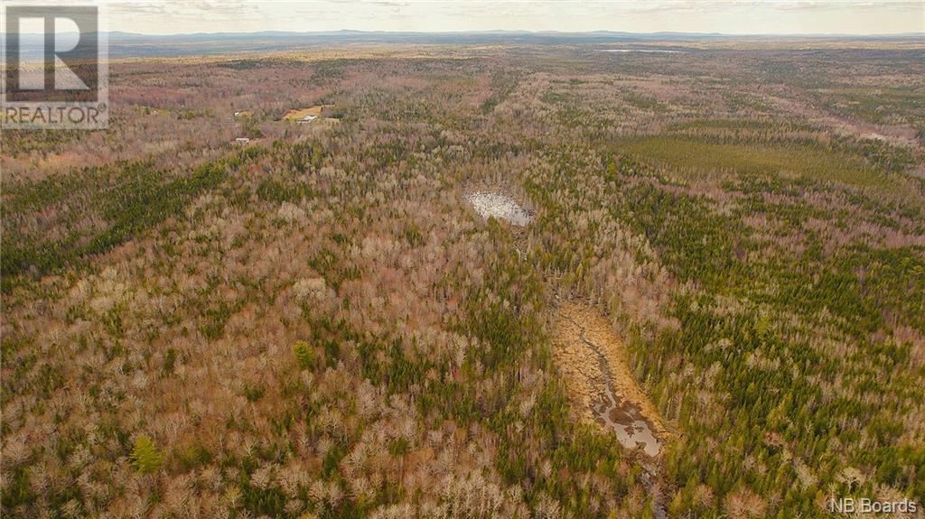 000 Scotch Ridge Road, Scotch Ridge, New Brunswick  E3L 5L3 - Photo 7 - NB098850