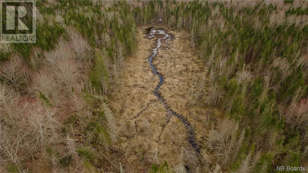 000 Scotch Ridge Road, Scotch Ridge, New Brunswick  E3L 5L3 - Photo 8 - NB098850