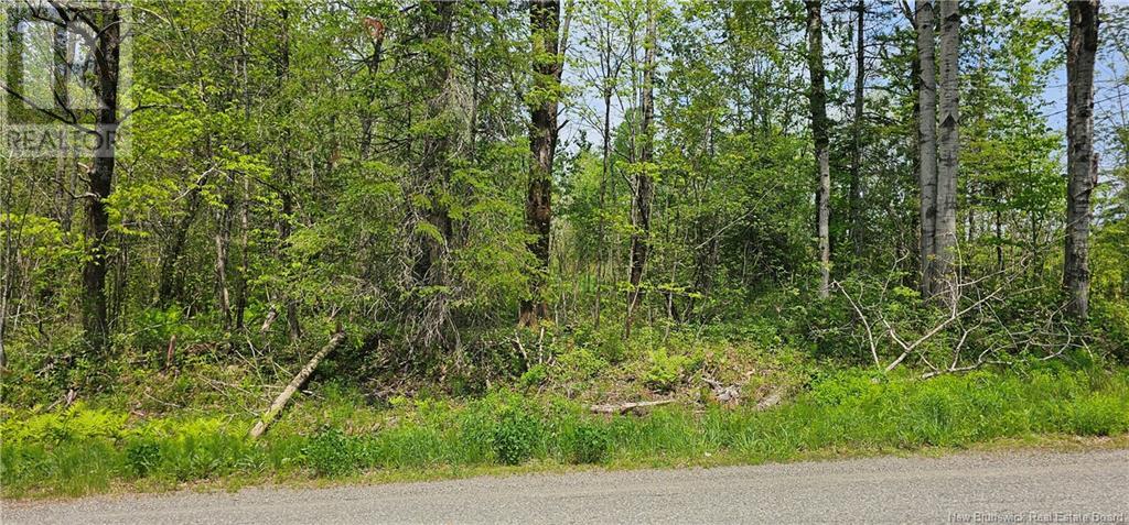 00 Hall Road, Heathland, New Brunswick  E3L 5C8 - Photo 2 - NB100649