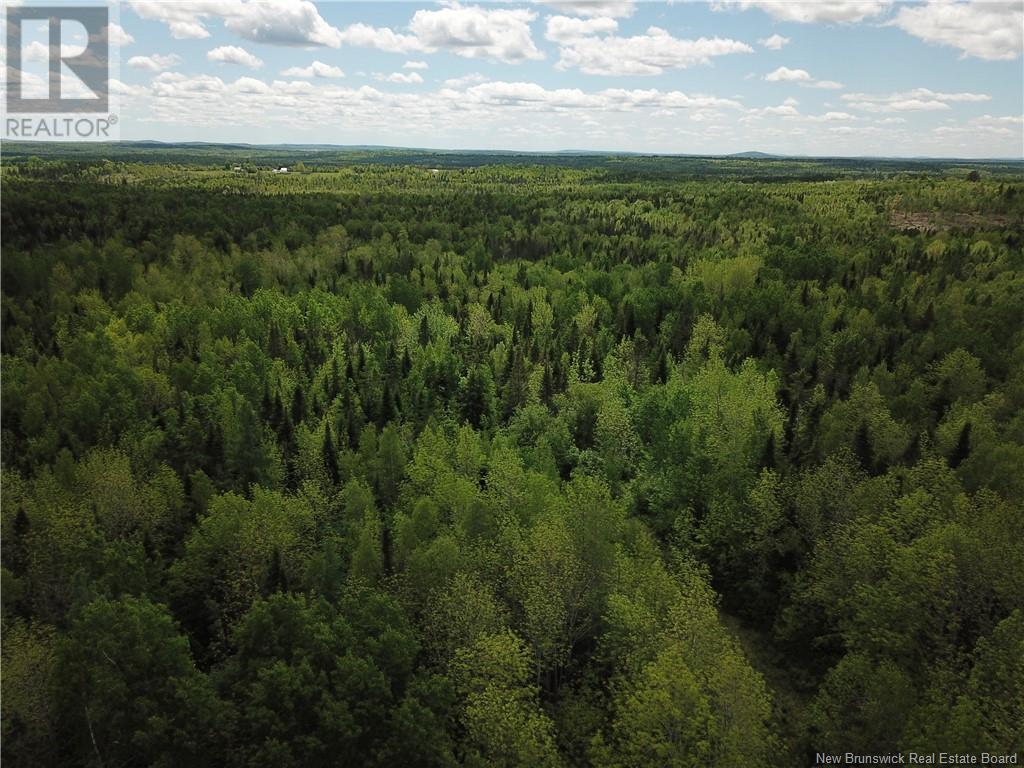 00 Route 735, Scotch Ridge, New Brunswick  E3L 5J7 - Photo 2 - NB100922