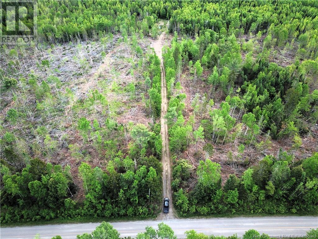 00 730 Route, Scotch Ridge, New Brunswick  E3L 5L4 - Photo 2 - NB100914