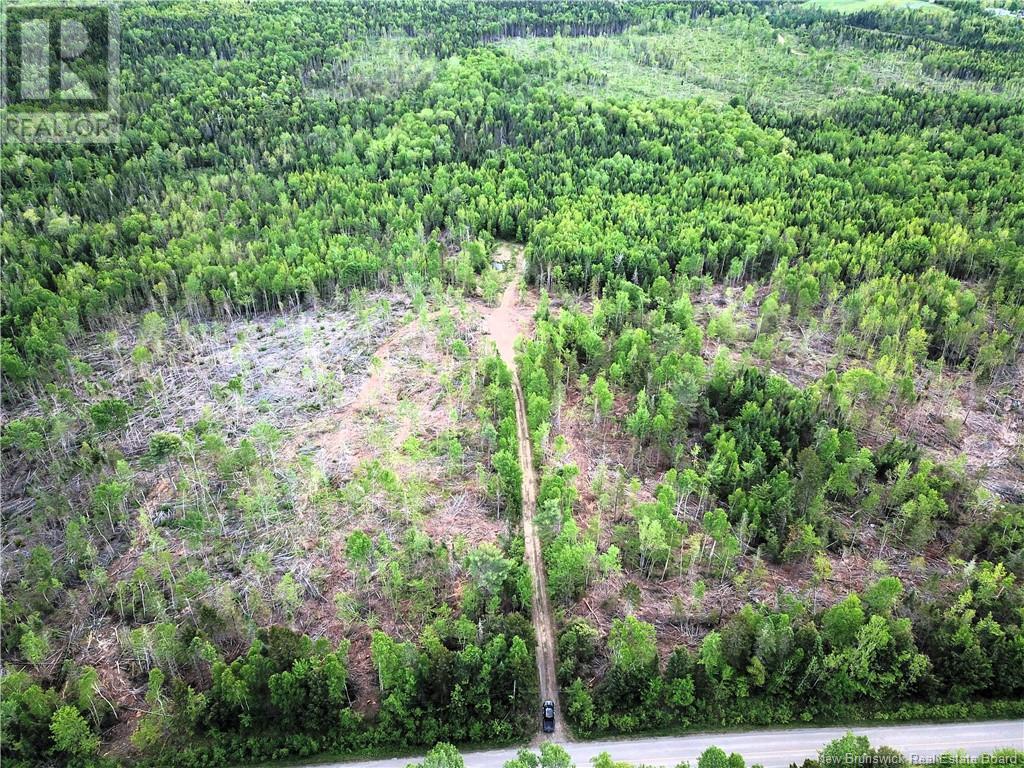 00 730 Route, Scotch Ridge, New Brunswick  E3L 5L4 - Photo 3 - NB100914