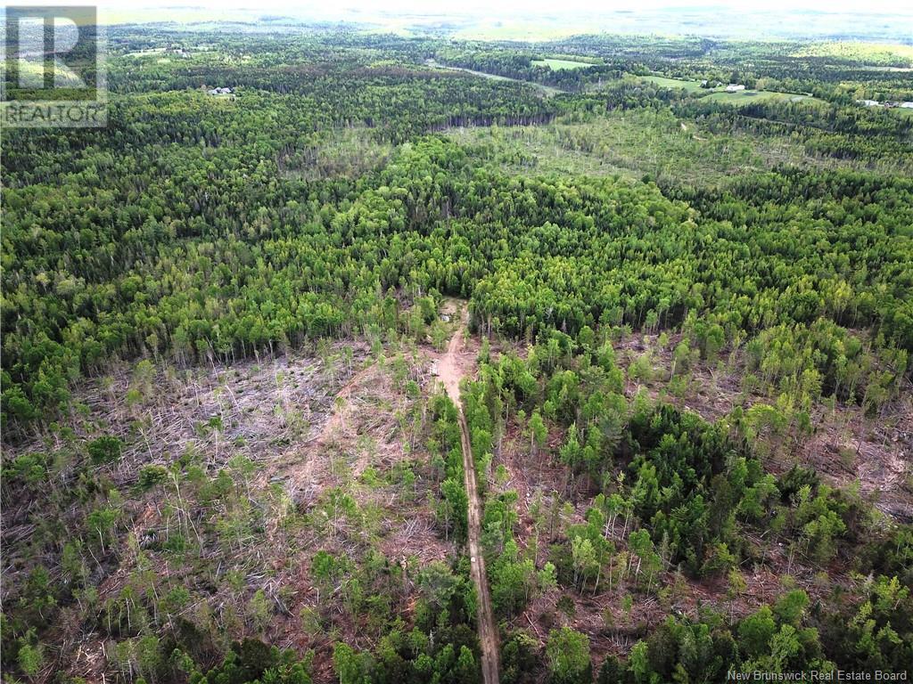 00 730 Route, Scotch Ridge, New Brunswick  E3L 5L4 - Photo 4 - NB100914